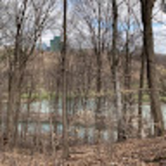 Meet your Posher, Talia - Picture 1 of 1